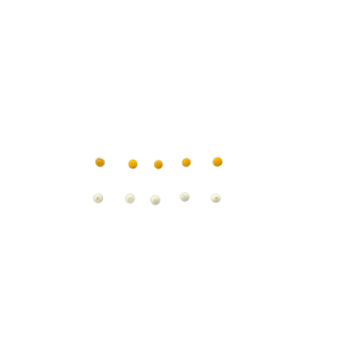 Decorative Fridge Magnets Set of 10 - Yellow and Beige Polka Dots